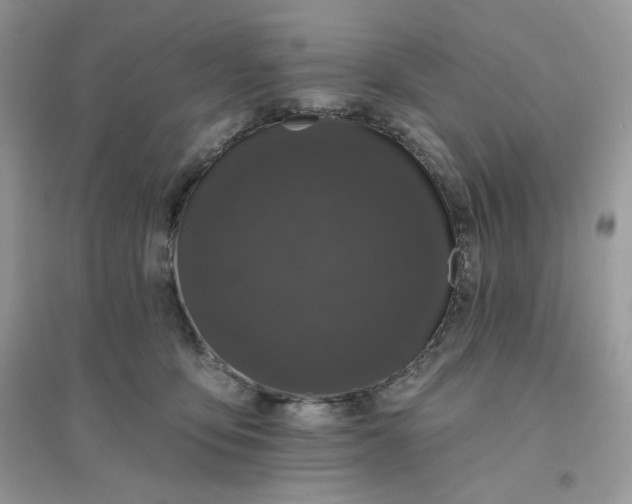 X0000096130419200802011152