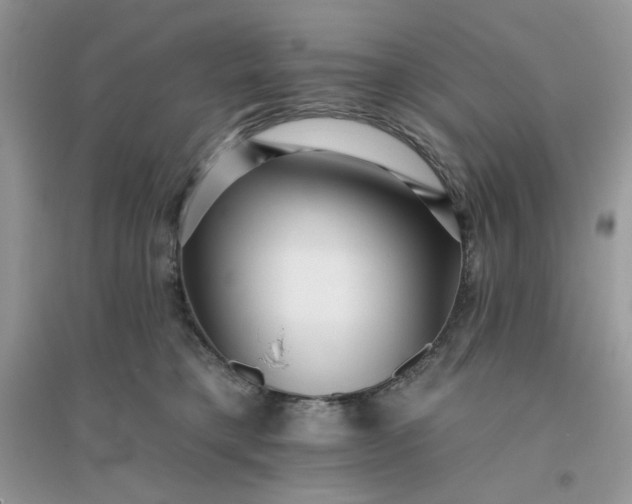 X0000096130421200802011152