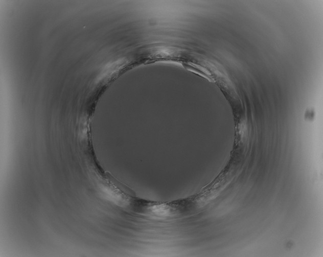 X0000096130423200802011152