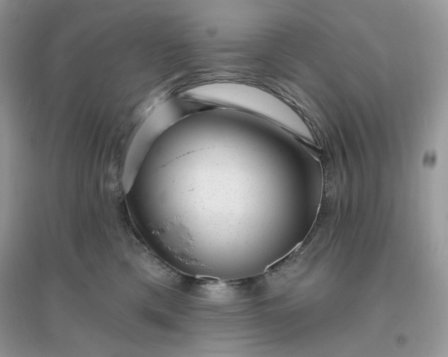 X0000096130425200802011152