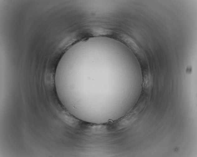 X0000096130426200802011152