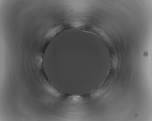 X0000096130427200802011152