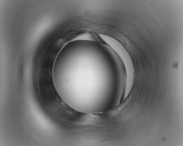 X0000096130429200802011152