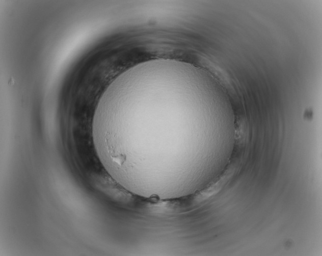 X0000096130430200802011152