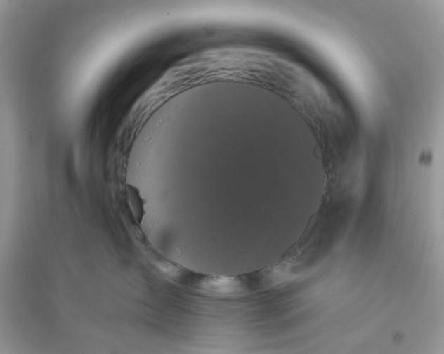 X0000096130431200802011152