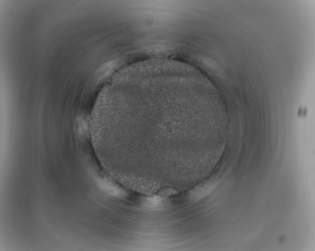 X0000096130432200802011152