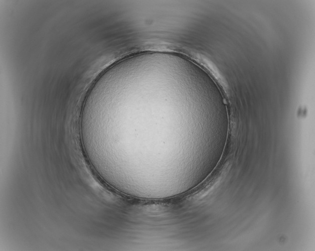 X0000096130433200802011152