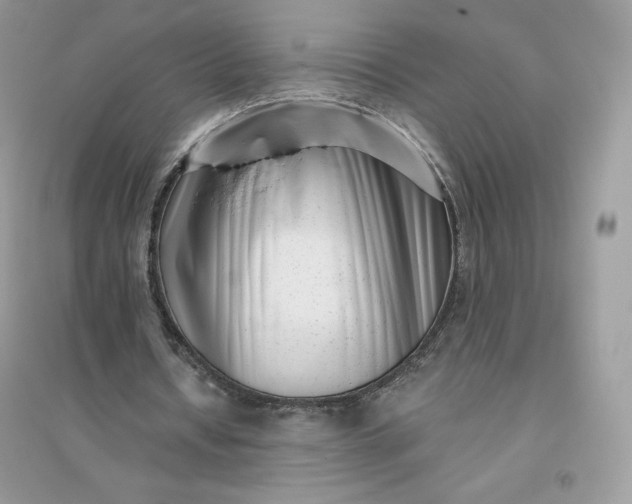 X0000096130434200802011152
