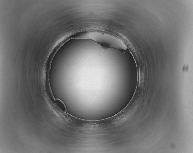 X0000096130435200802011152