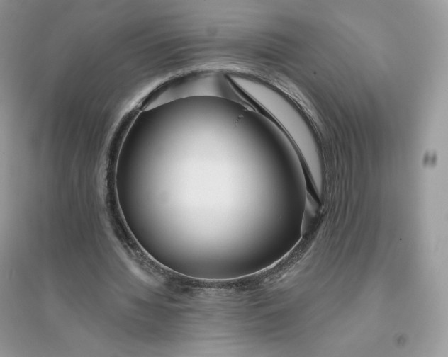 X0000096130436200802011152