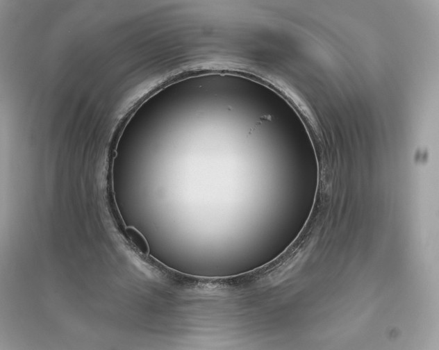 X0000096130437200802011152