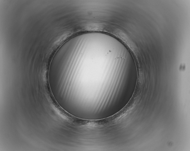 X0000096130441200802011152