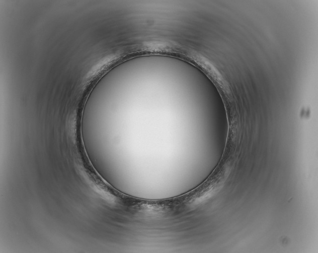 X0000096130442200802011152