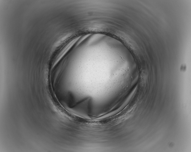 X0000096130446200802011152