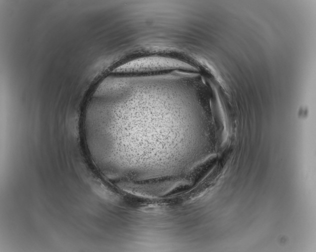 X0000096130447200802011152