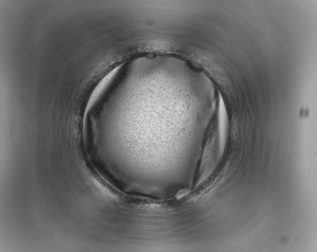 X0000096130449200802011152
