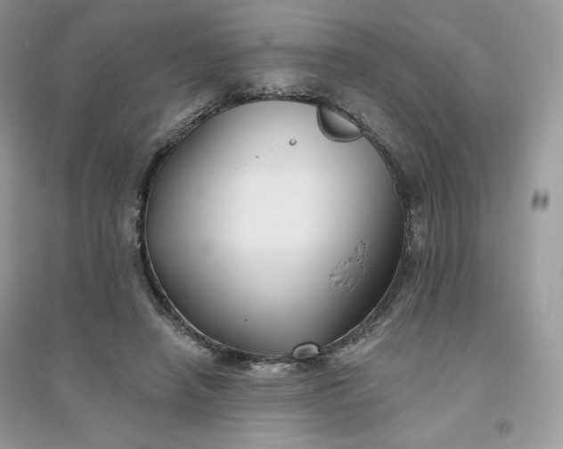 X0000096130450200802011152