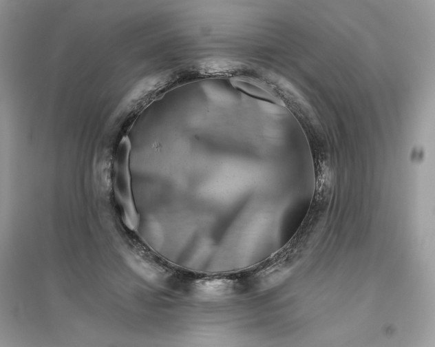 X0000096130452200802011152