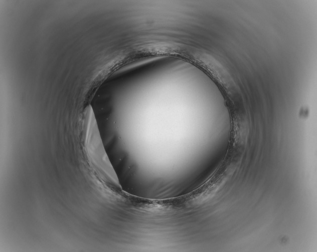X0000096130453200802011152