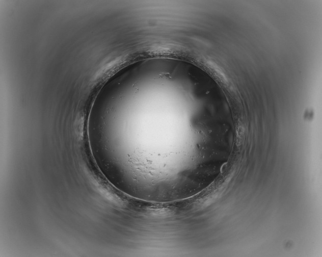X0000096130454200802011152