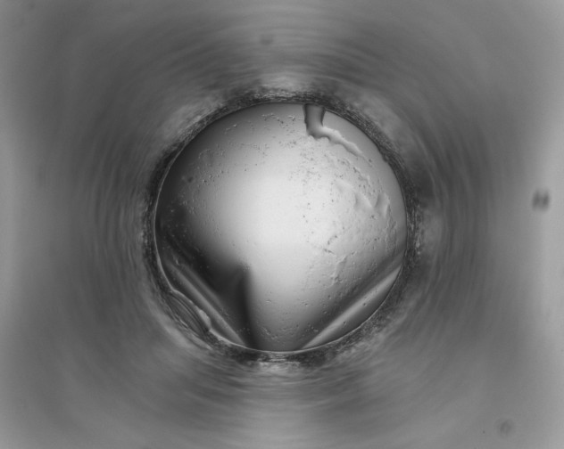X0000096130455200802011152