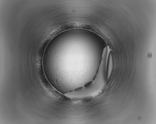X0000096130456200802011152