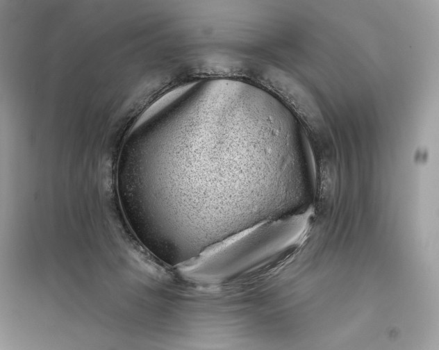 X0000096130457200802011152