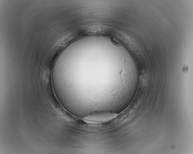 X0000096130458200802011152