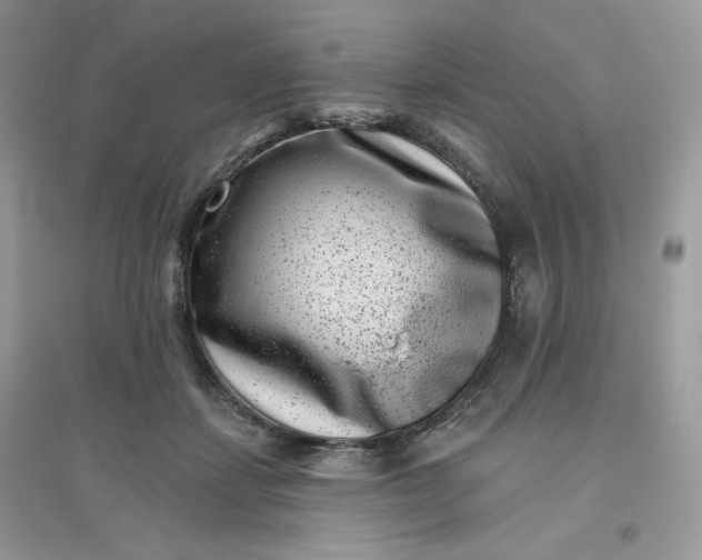 X0000096130459200802011152