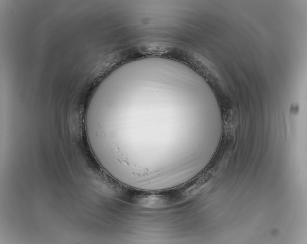 X0000096130460200802011152