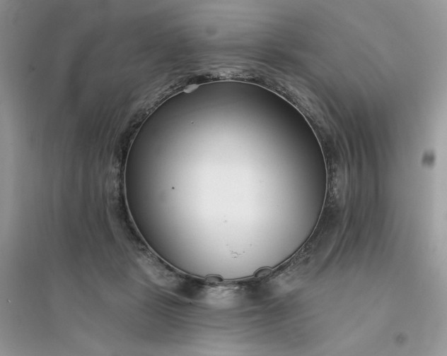 X0000096130461200802011152