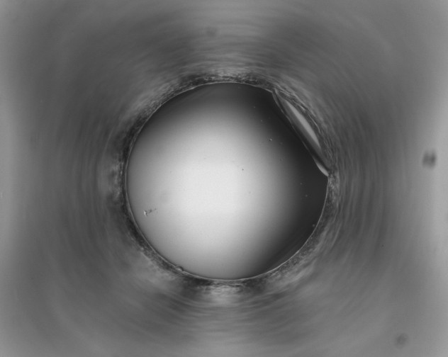 X0000096130462200802011152