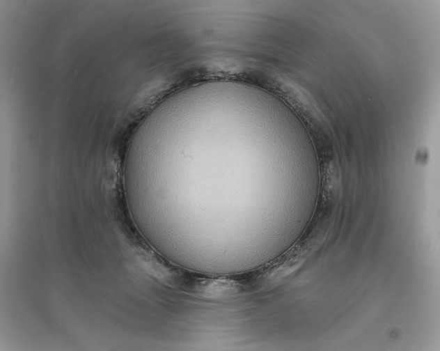 X0000096130463200802011152