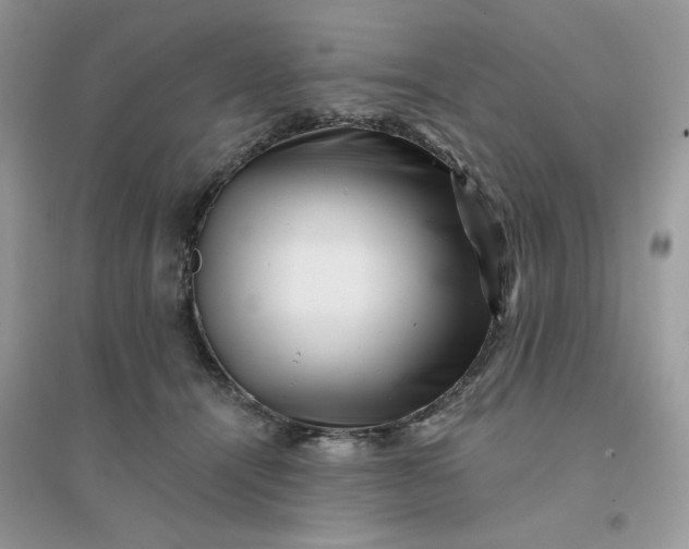 X0000096130464200802011152
