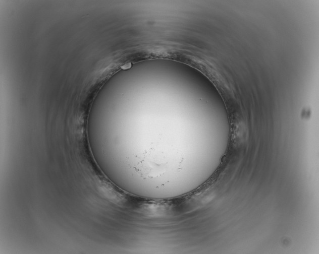 X0000096130466200802011152