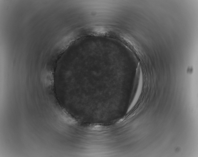 X0000096130467200802011152