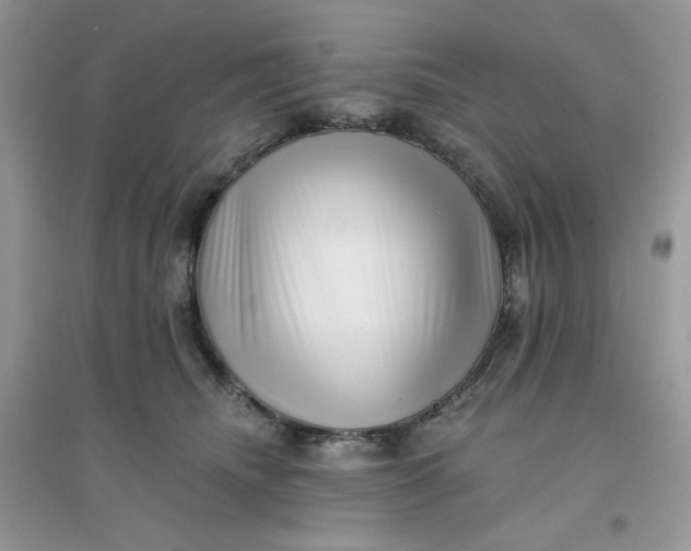 X0000096130468200802011152
