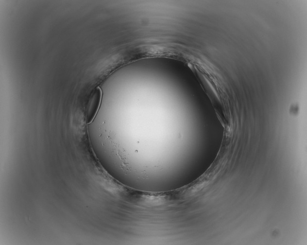 X0000096130469200802011152