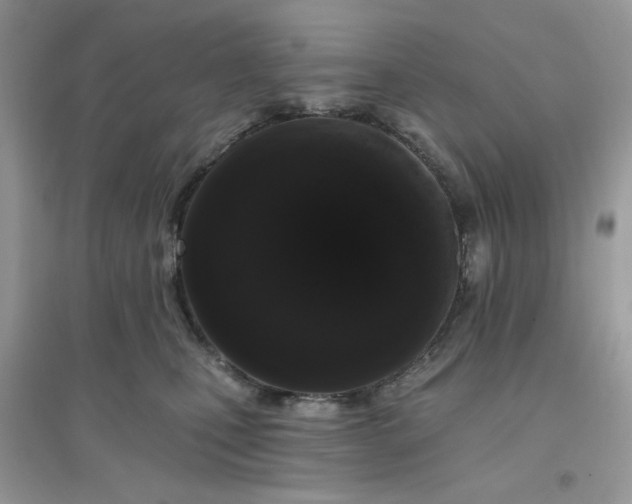 X0000096130471200802011152