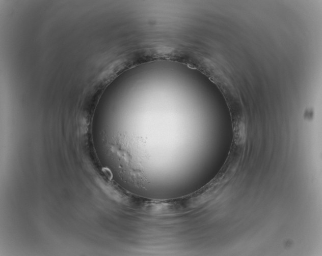 X0000096130472200802011152