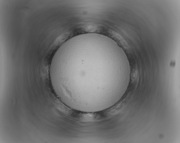 X0000096130473200802011152