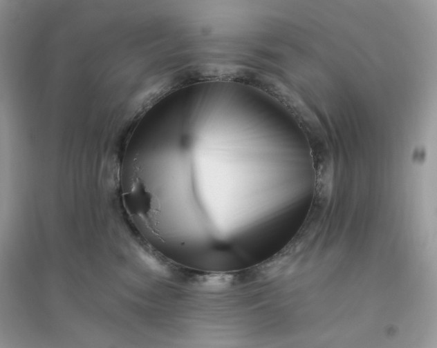 X0000096130474200802011152