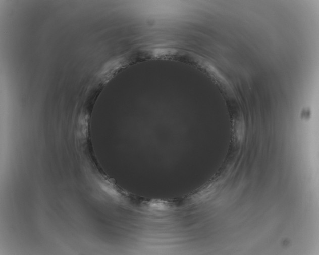 X0000096130475200802011152