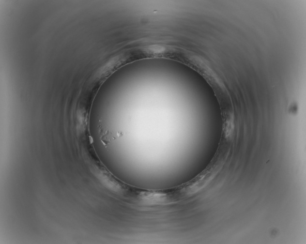 X0000096130476200802011152