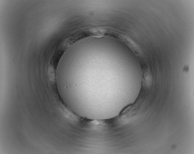 X0000096130477200802011152