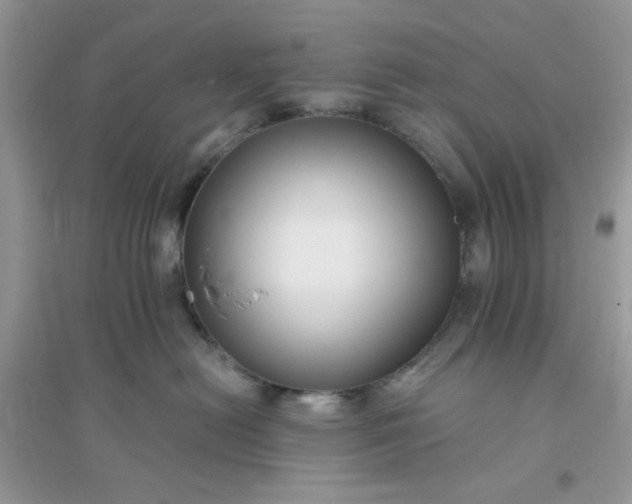 X0000096130478200802011152