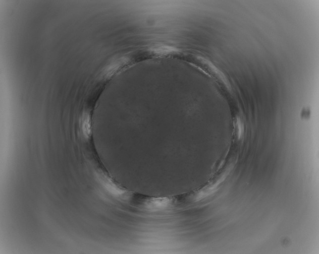 X0000096130479200802011152