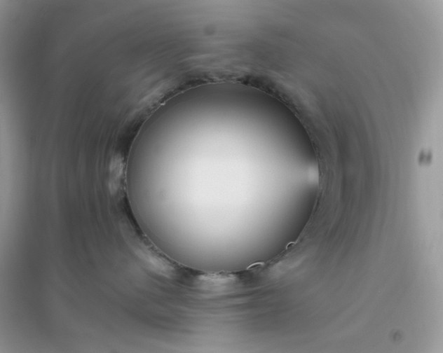 X0000096130480200802011152