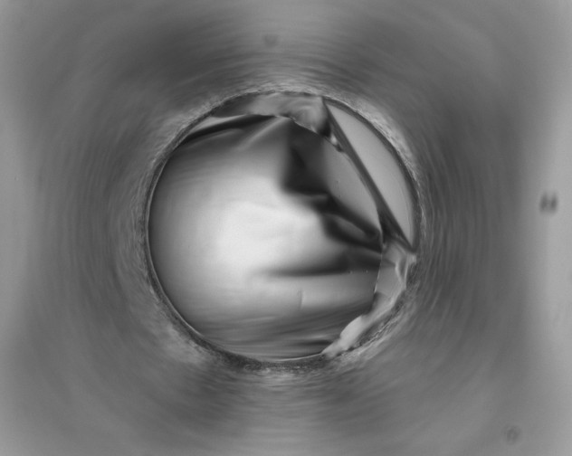 X0000096130481200802011152