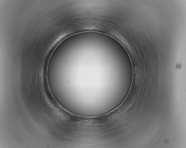 X0000096130482200802011152